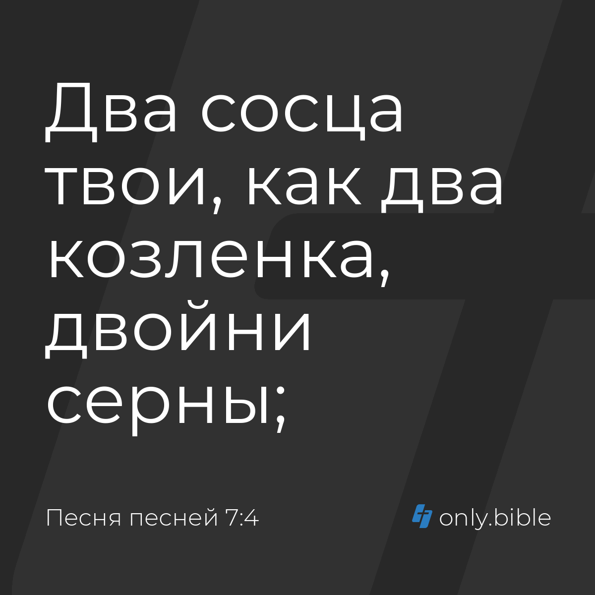 Песня песней 7:4 / Русский синодальный перевод (Юбилейное издание) | Библия  Онлайн