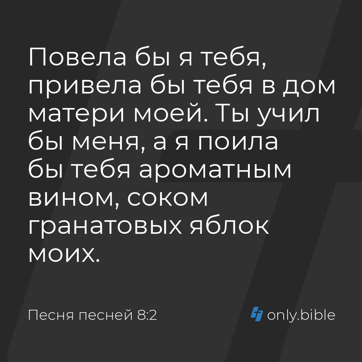 Песня песней 8:2 / Русский синодальный перевод (Юбилейное издание) | Библия  Онлайн