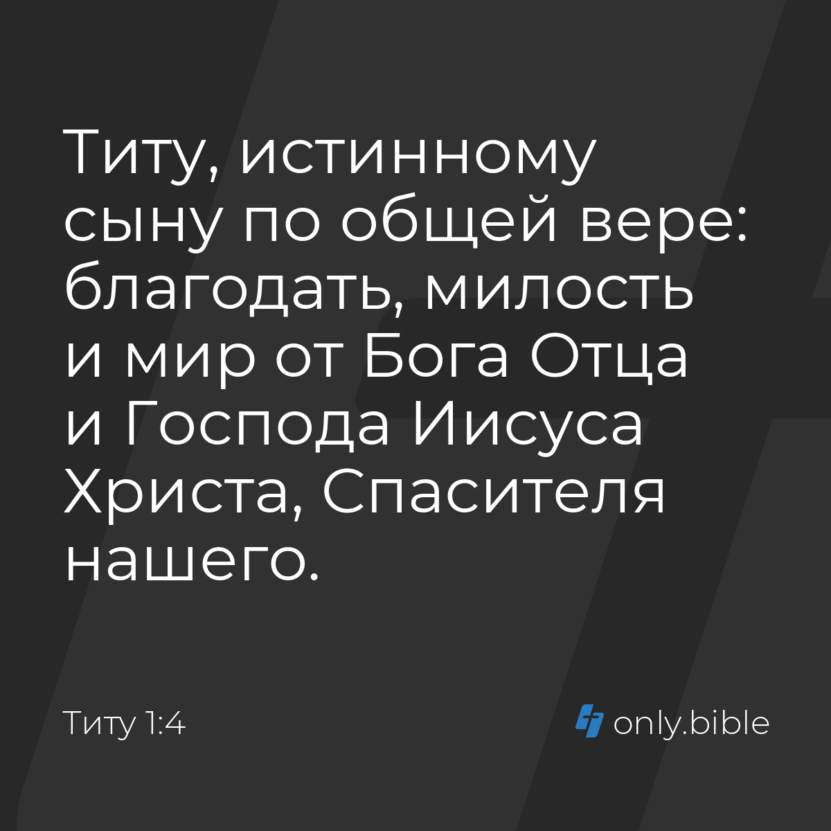 Титу 1:4 / Русский синодальный перевод (Юбилейное издание) | Библия Онлайн