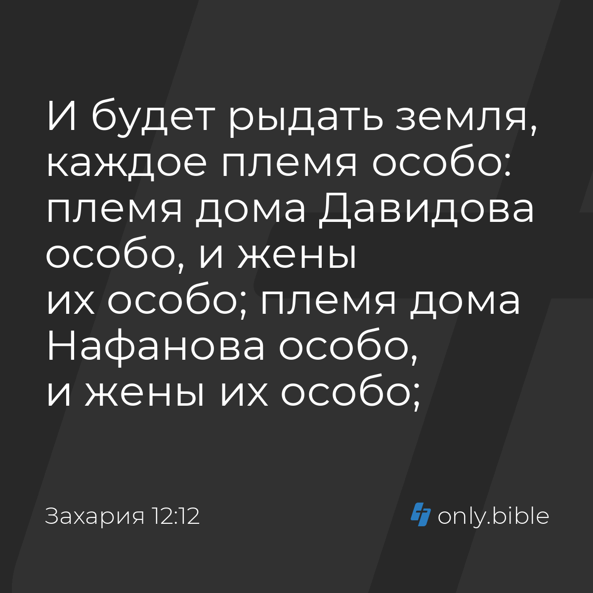 Захария 12:12 / Русский синодальный перевод (Юбилейное издание) | Библия  Онлайн