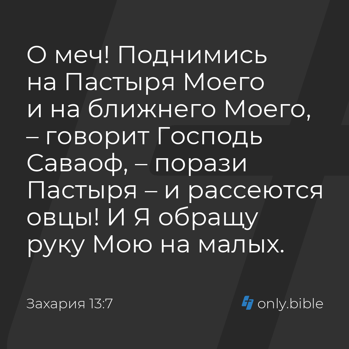 Захария 13:7 / Русский синодальный перевод (Юбилейное издание) | Библия  Онлайн