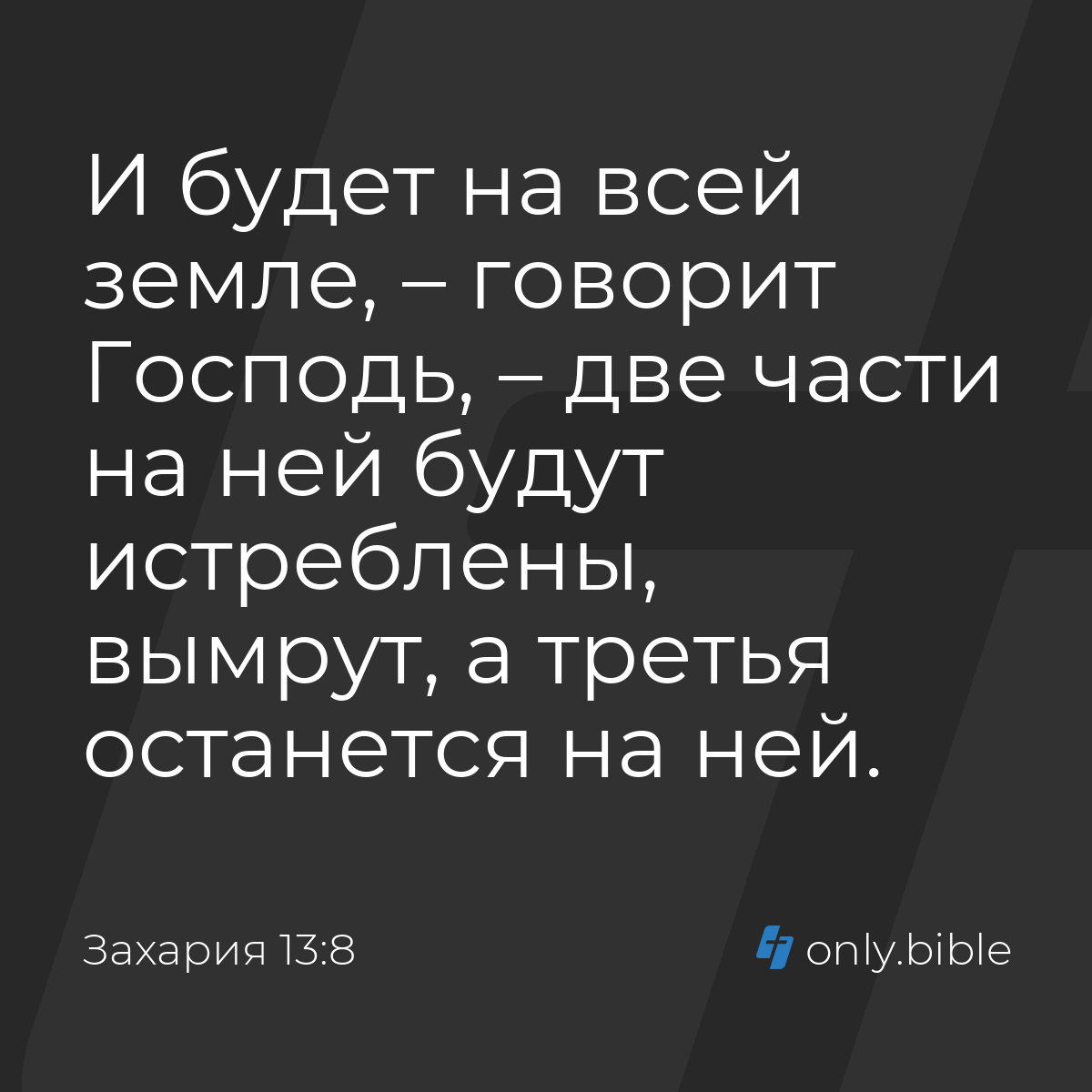 Захария 13:8 / Русский синодальный перевод (Юбилейное издание) | Библия  Онлайн