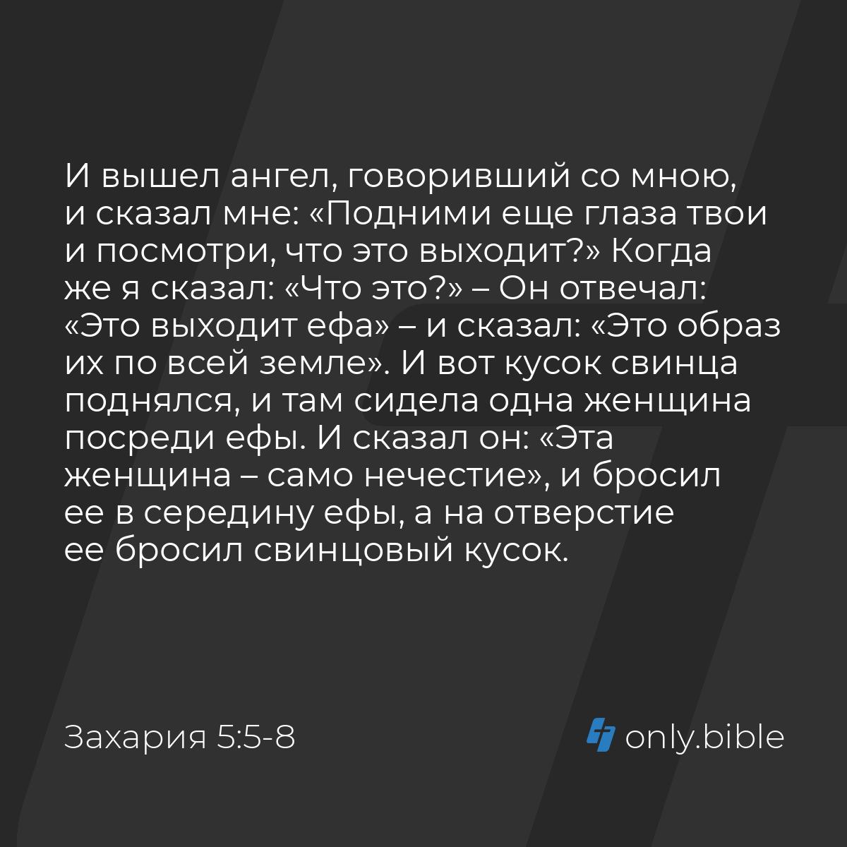 Захария 5:5-11 / Русский синодальный перевод (Юбилейное издание) | Библия  Онлайн