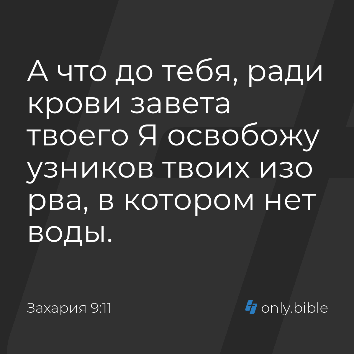 Захария 9:11 / Русский синодальный перевод (Юбилейное издание) | Библия  Онлайн