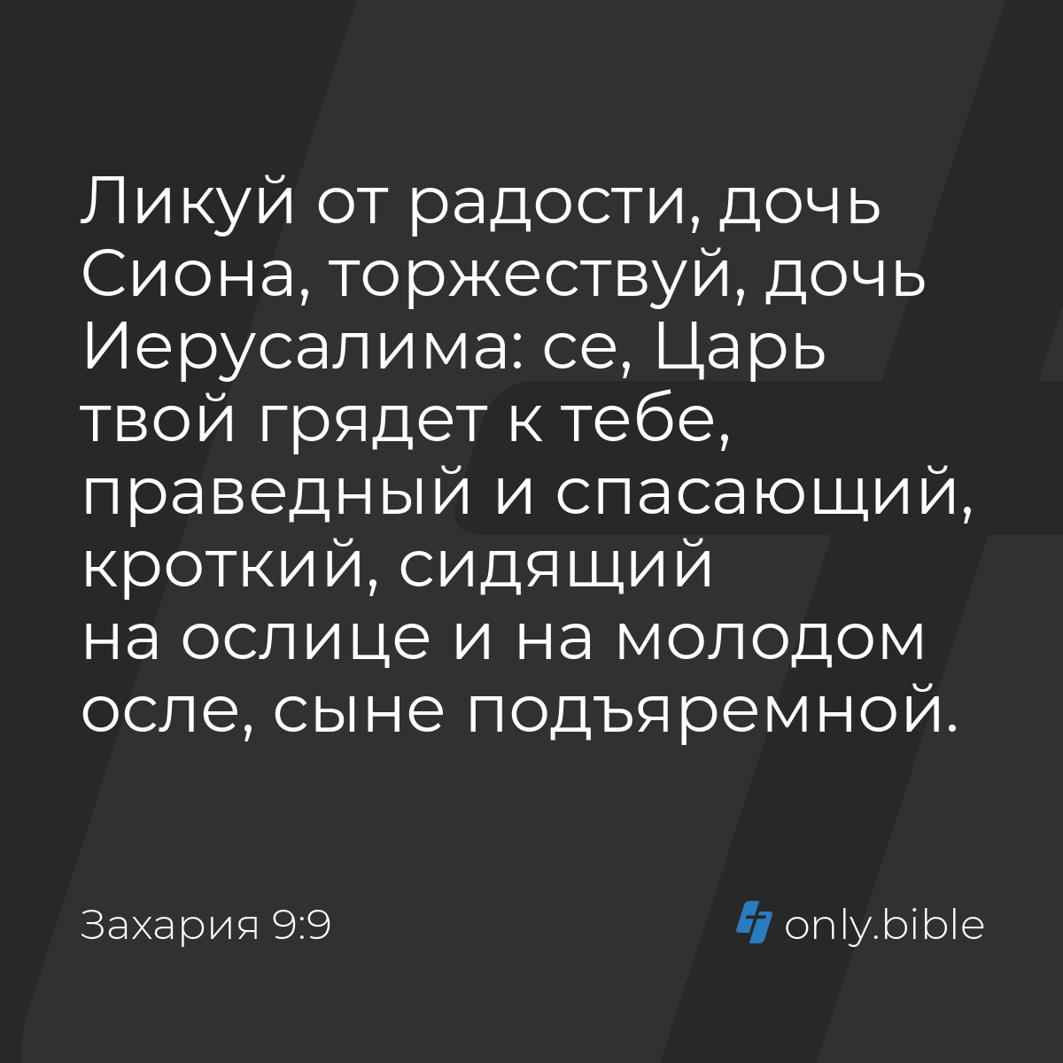 Захария 9:9 / Русский синодальный перевод (Юбилейное издание) | Библия  Онлайн