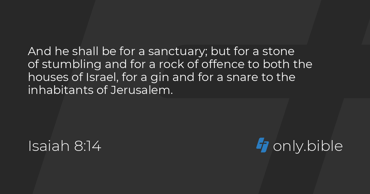 【bible】14点おまとめ