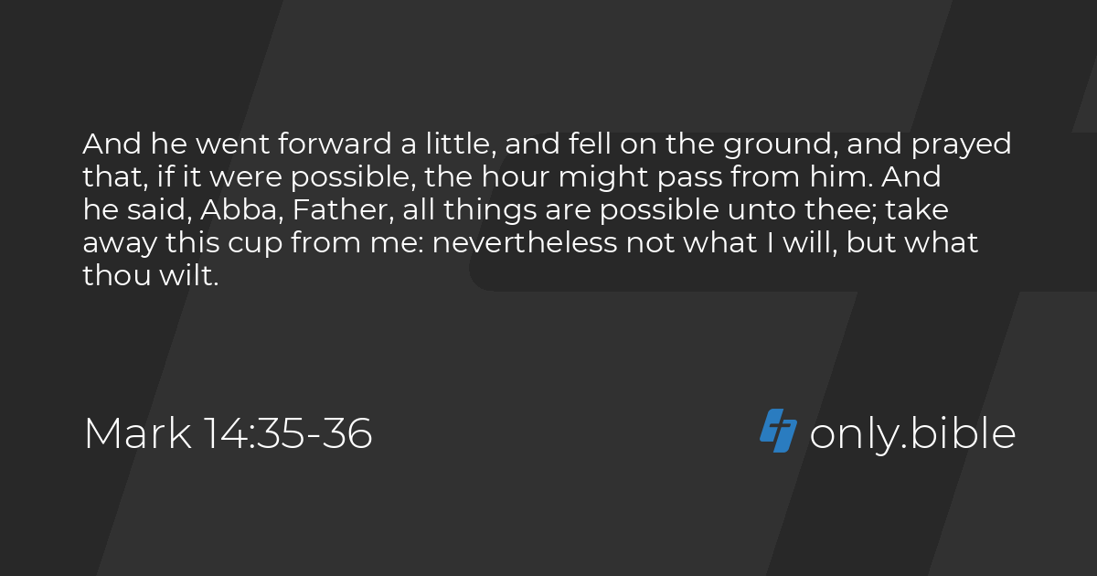 【bible】14点おまとめ 【bible】14点おまとめ