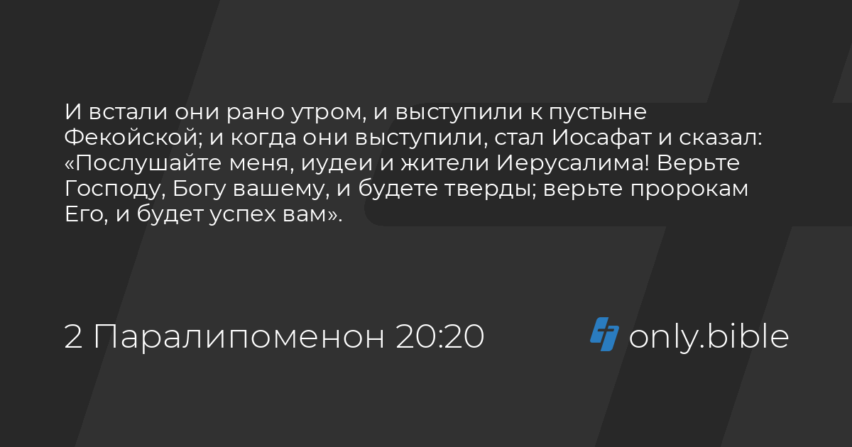 Верьте, действуйте, добивайтесь успеха с набором эфирных масел Feelings - Блог Young Living