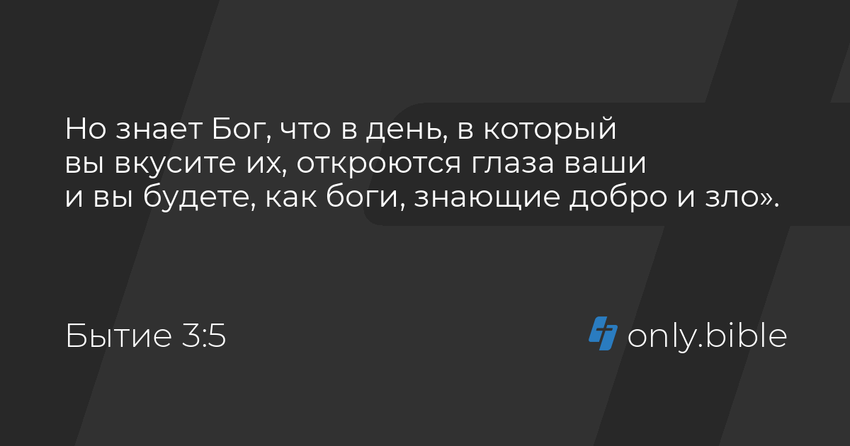 Дерево, на котором запрещено есть плоды: какое оно