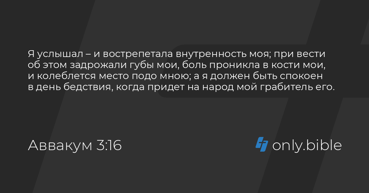 Рассказы региональных победителей четвертого сезона Всероссийского литературного конкурса 